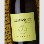 Cosmic Valentia 2025