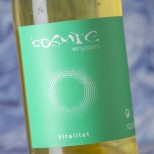Cosmic Vitalitat 2024 Cosmic Vitalitat 2024