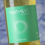 Cosmic Vitalitat 2025