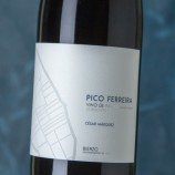 César Márquez Pico Ferreira 2024