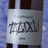 Dario Princic Jakot 2021
