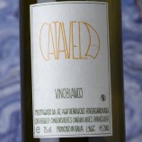 Catavela 2024