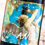 Domaine De L'Ecu Ange 2020