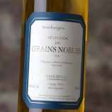 Delesvaux Côteaux Du Layon Sélection De Grains Nobles 2010 - 50 Cl