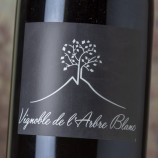 L'Arbre Blanc Les Orgues 2020