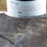 Lacima 2020