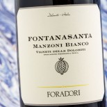 Foradori Fontanasanta Manzoni Bianco 2021 Foradori Fontanasanta Manzoni Bianco 2021