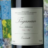 Envínate Táganan Tinto 2024