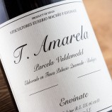 Tinta Amarela Parcela Valdemedel 2017