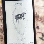 Laboratorio Rupestre Bujes 2021