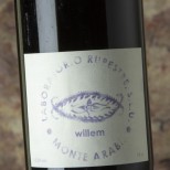 Laboratorio Rupestre Willem 2015 Laboratorio Rupestre Willem 2015