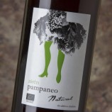 Esencia Rural Airén Pampaneo Natural 2025