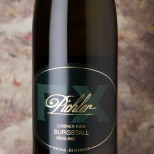 F. X. Pichler Riesling Loibner Ried Burgstal 2024