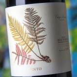 Fento Tinto 2023