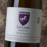 Mark Angeli La Lune Amphores 2019