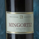 Allende Mingortiz 2016