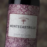 Torremilanos Montecastrillo 2024