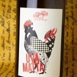 Fonterenza Uva Matta Bianco 2023 Fonterenza Uva Matta Bianco 2023