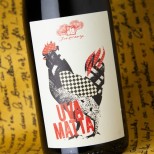 Fonterenza Uva Matta Rosso 2023 Fonterenza Uva Matta Rosso 2023