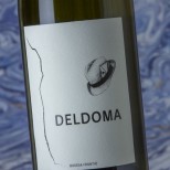 Frontio Deldoma 2022 Frontio Deldoma 2022