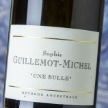 Guillemot-Michel Une Bulle 2022