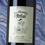 Ginglinger Le Paradis D'Arthur Pinot Noir Baumgarten 2022