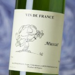 Ginglinger Muscat 2022 Ginglinger Muscat 2022