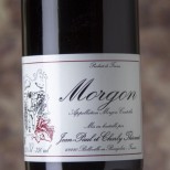 Thévenet Morgon 2023 Thévenet Morgon 2023