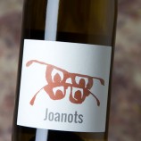 Joan Rubió Joanots 2022