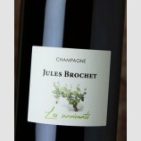 Jules Brochet Les Survivants 2021