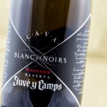 Juvé & Camps Blanc de Noirs Brut Reserva 2019 Juvé & Camps Blanc de Noirs Brut Reserva 2019