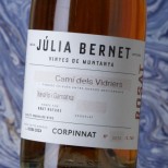 Júlia Bernet Rosat Camí dels Vidriers 2022 Júlia Bernet Rosat Camí dels Vidriers 2022
