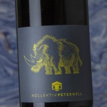 Peternell Auf Der Flucht 2021