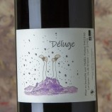 Déluge 2021