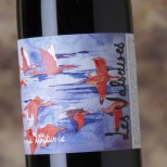 Les Valseuses Sanza Nocturne 2022