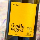 Mas Candí Ovella Negra 2025