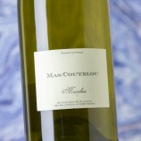 Mas Coutelou Macabeu Oeuf 2021