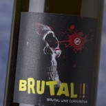 Microbio Brutal 2024