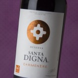 Santa Digna Carmenère 2021