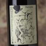 Morgane Turlier Pangea 2023 Morgane Turlier Pangea 2023