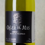 Bernat Oller Blanc de Picapolls 2024 Bernat Oller Blanc de Picapolls 2024