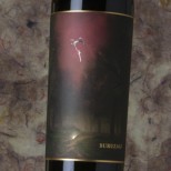 Oxer Buruzagi 2023 Oxer Buruzagi 2023