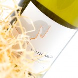 Vallegarcía Viognier 2022