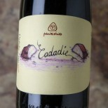 Panevino Cadadie 2020 Panevino Cadadie 2020