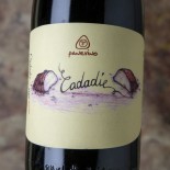Panevino Cadadie 2020