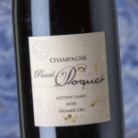 Pascal Doquet Anthocyanes Rosé Premier Cru Extra Brut Pascal Doquet Anthocyanes Rosé Premier Cru Extra Brut