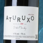 Pedro Méndez Aturuxo 2020 Pedro Méndez Aturuxo 2020