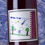 Pierre Beauger Syrah 2016