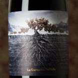 La Garnacha Perdida Del Pirineo 2021