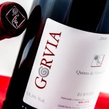 Gorvia Tinto 2019